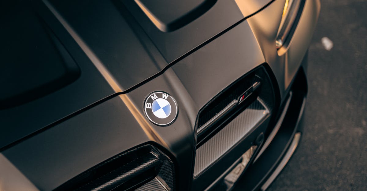 How to Tackle Mildew Smells in Your Car Interior