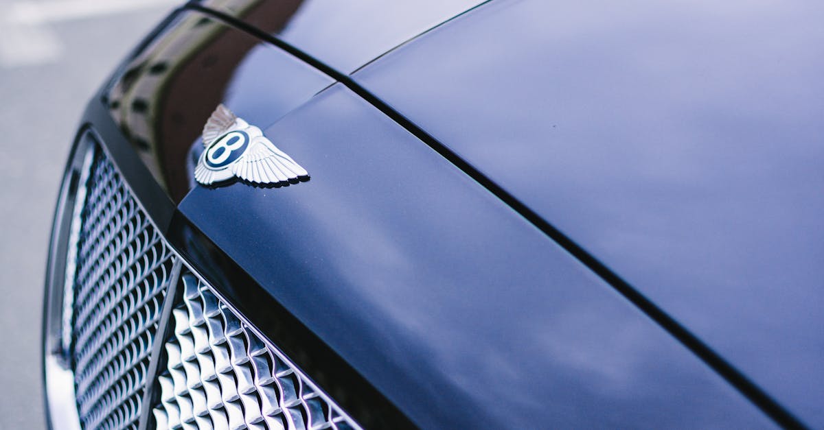 How Weather Affects Car Paint and Correction Approaches