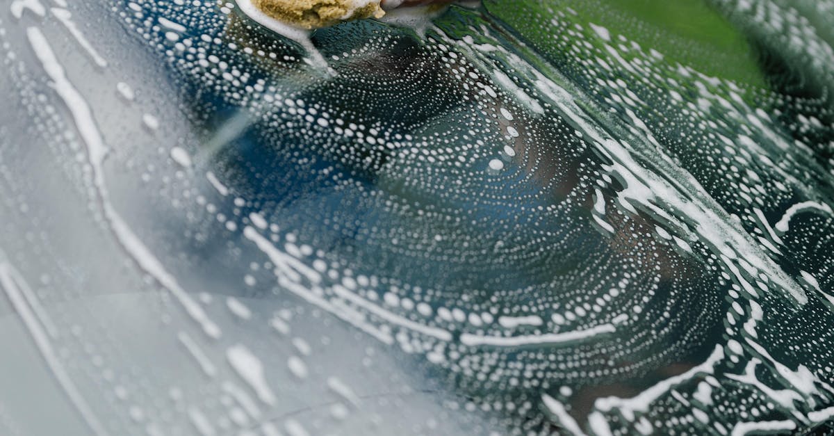 Premium vs Standard: What You Get in Mobile Detailing Packages