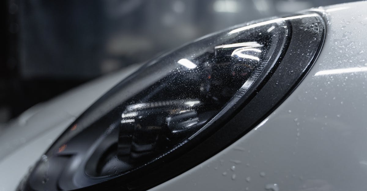 Professional vs DIY Paint Correction: What You Need to Know