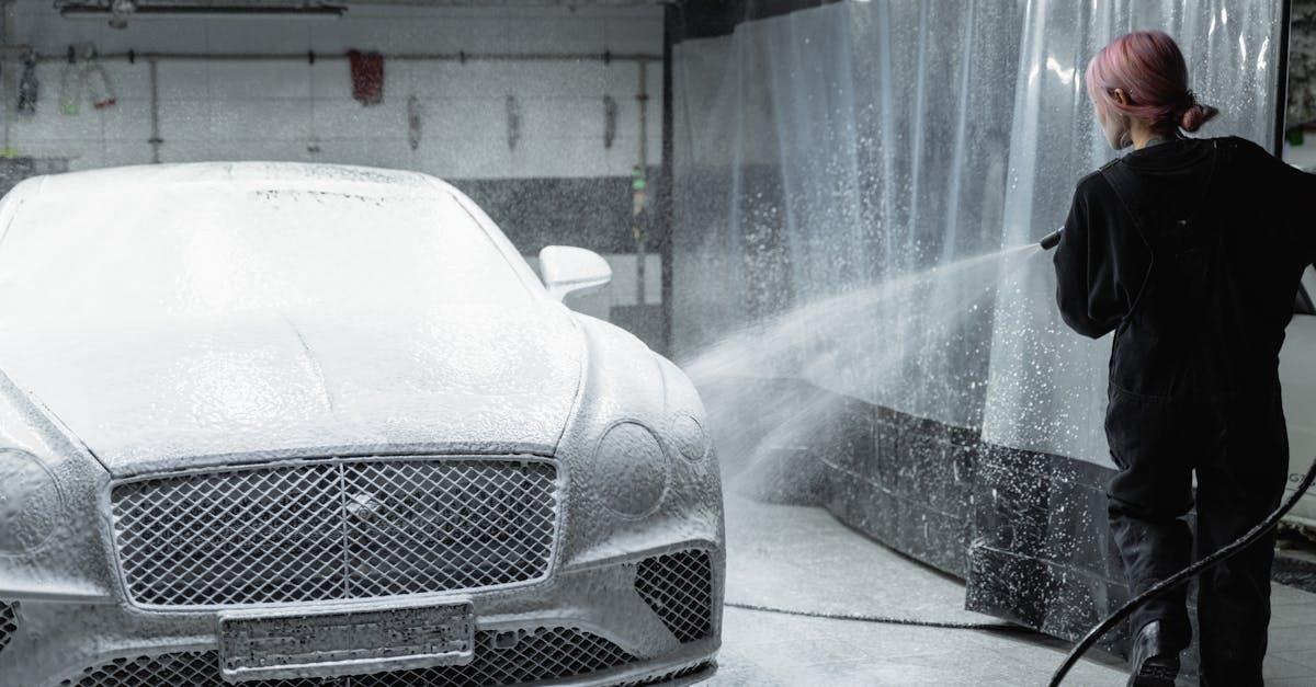 Seasonal Exterior Washing Tips for Car Owners